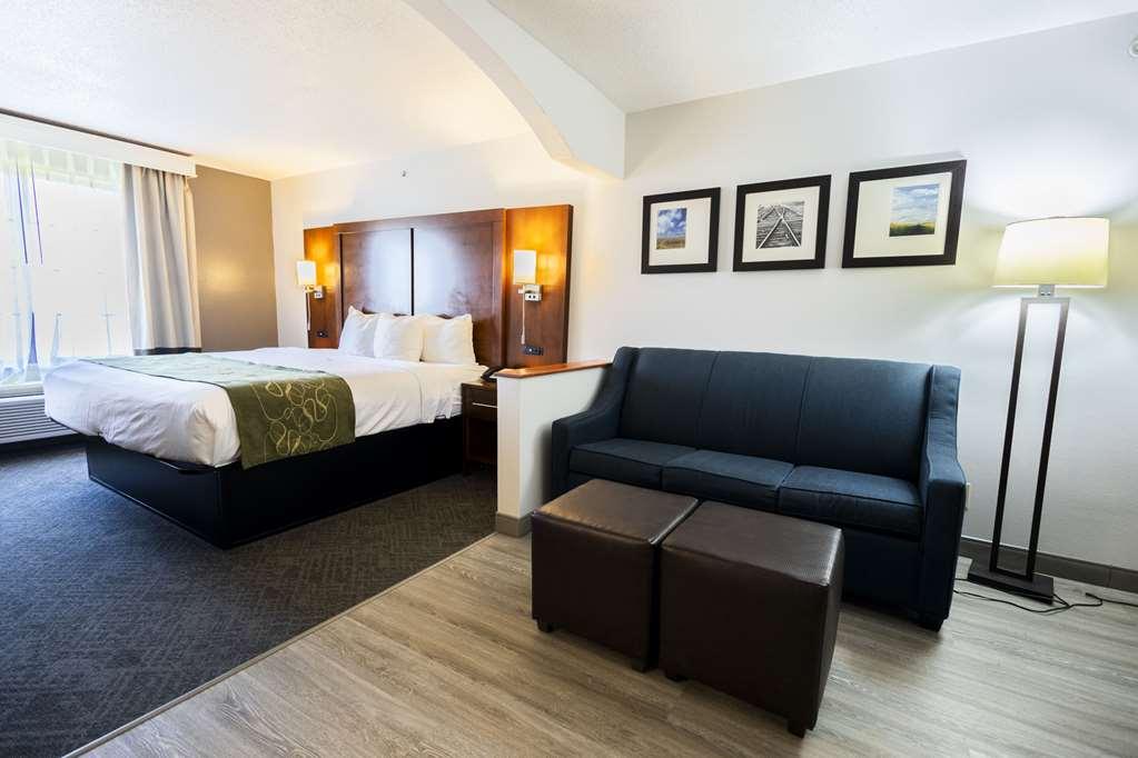 Comfort Suites Springfield Rum bild
